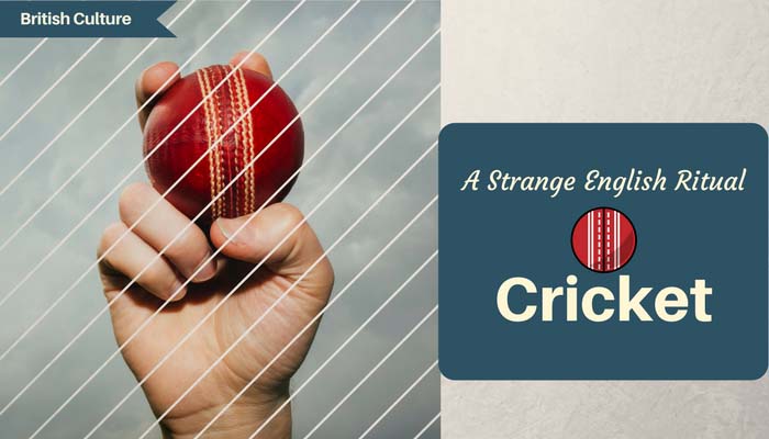 A strange English Ritual - Cricket A strange English Ritual - Cricket